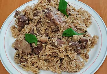 lamb-palau